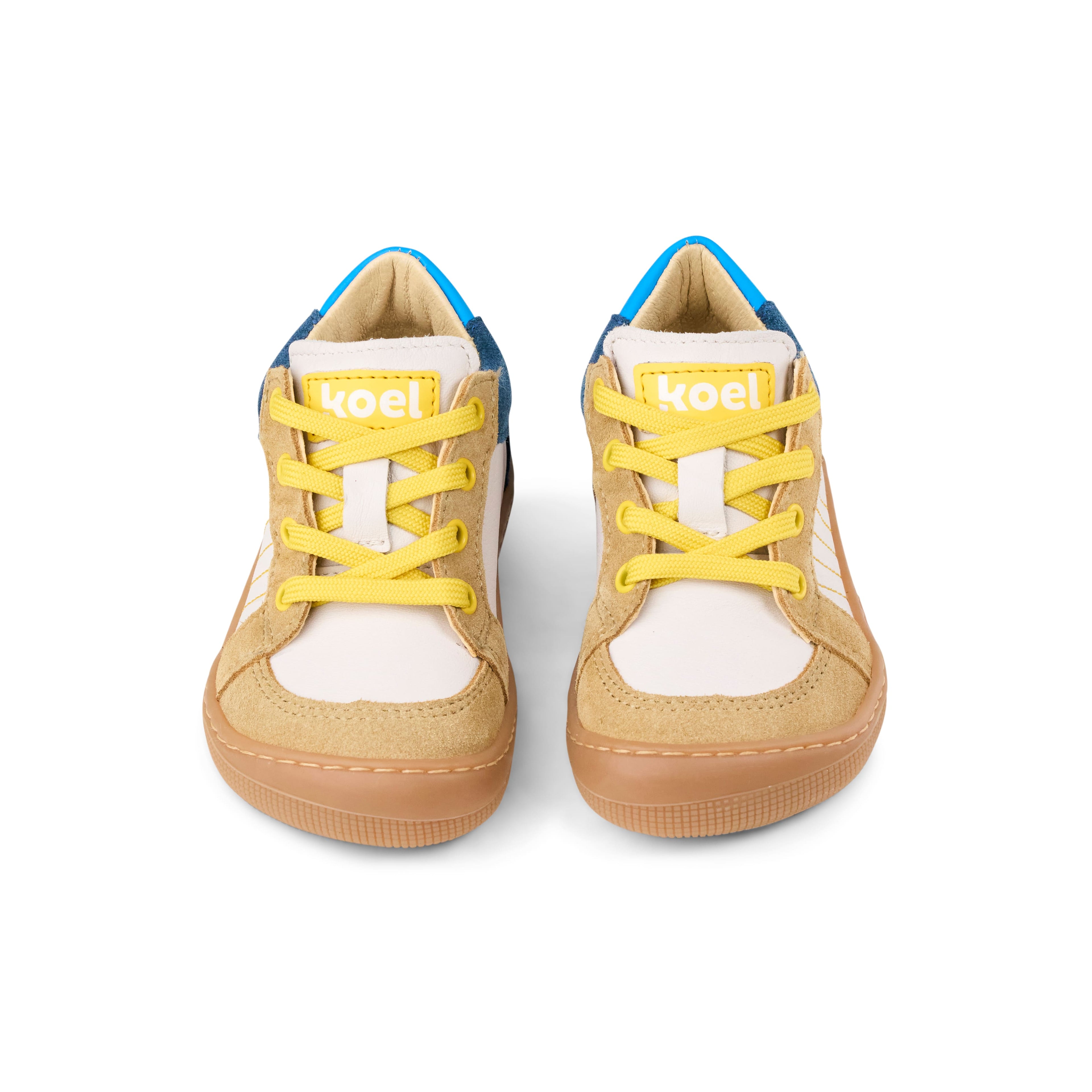 Dion Suede