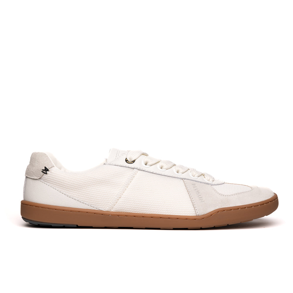 BLSN-204M