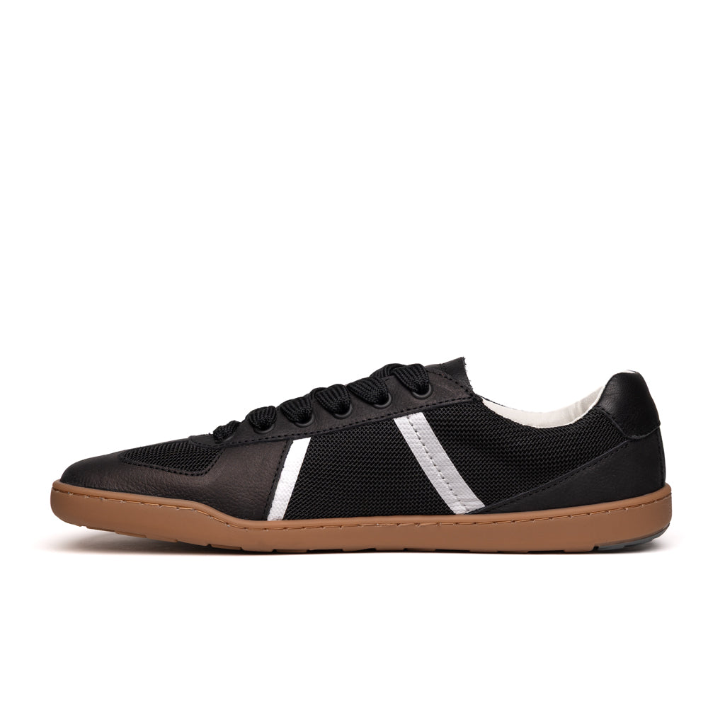 BLSN-204M