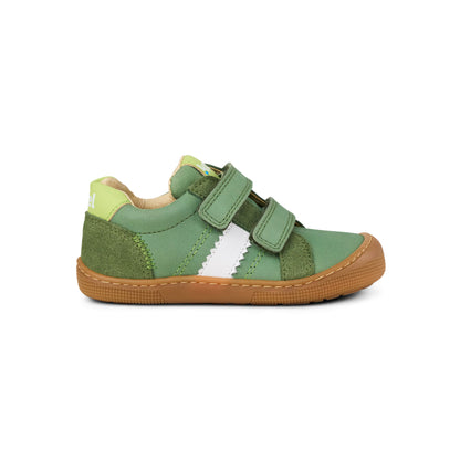 Denis Napa New 3.0