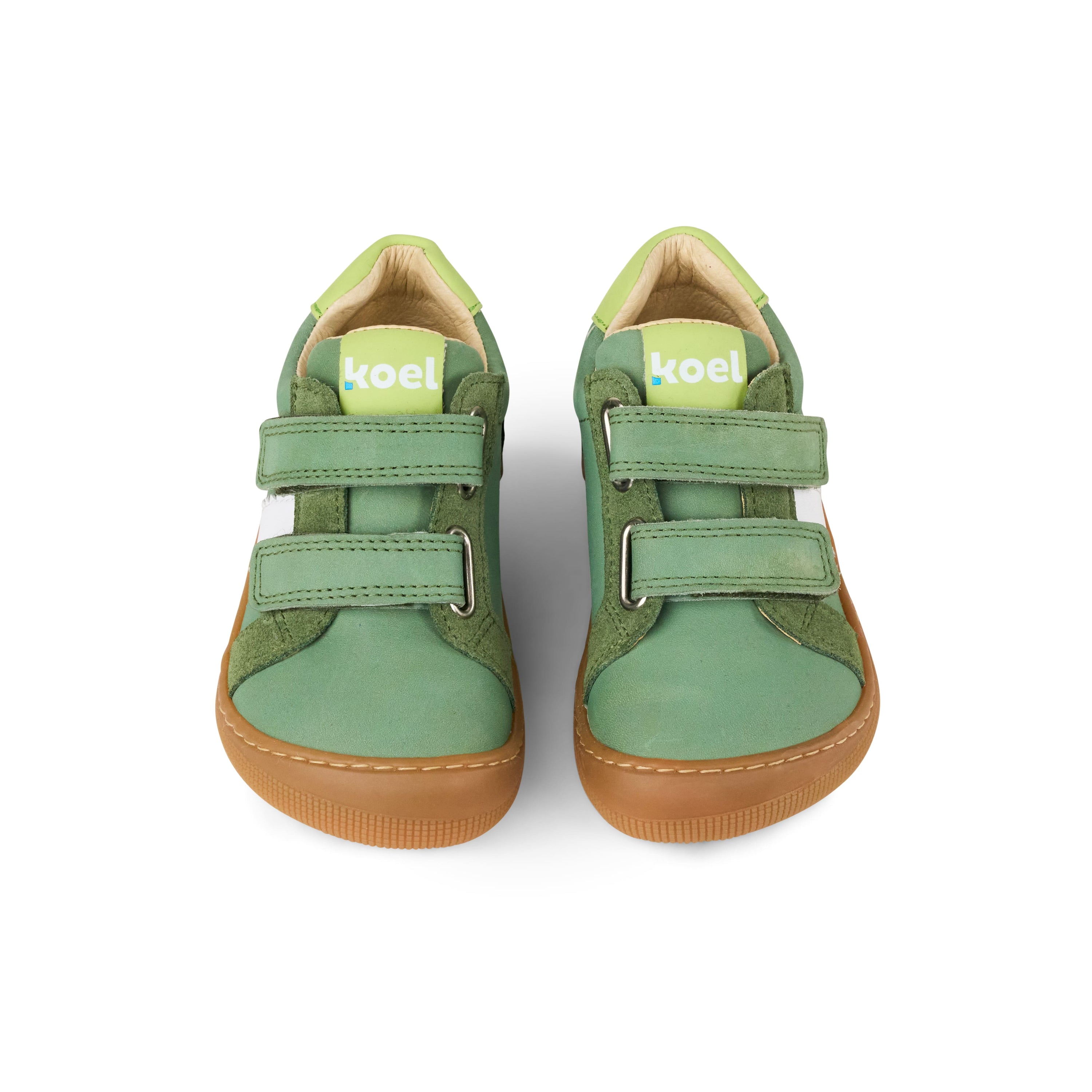 Denis Napa New 3.0