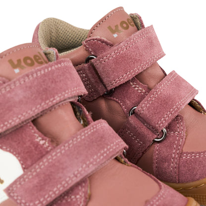 Dari Cotton