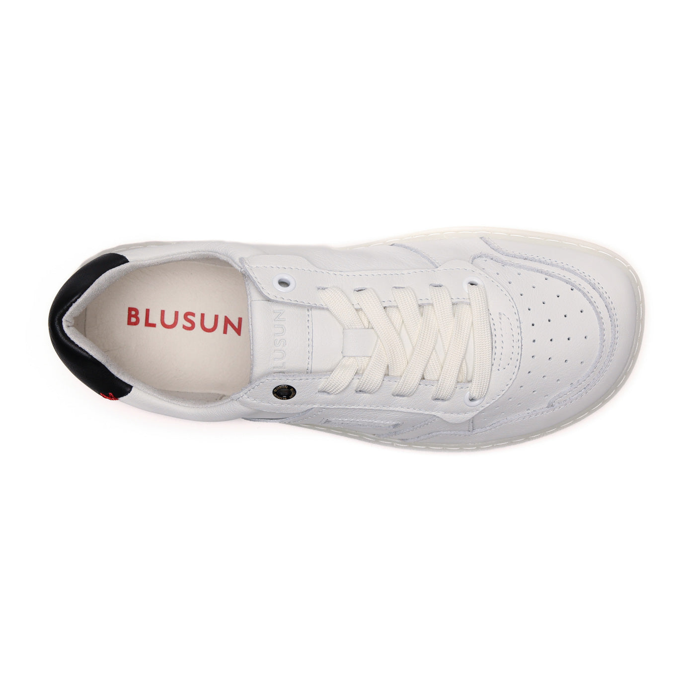 BLSN-600+W